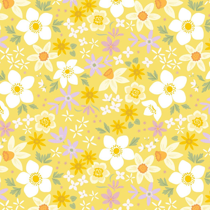 Daffodil flowers in white yellow and purple on a vibrant yellow to create a colourful sense of spring.