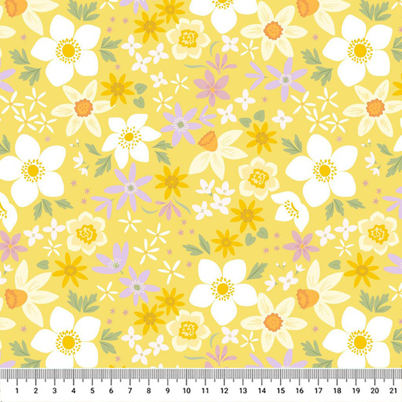 Daffodil flowers in white yellow and purple on a vibrant yellow to create a colourful sense of spring with a cm ruler.