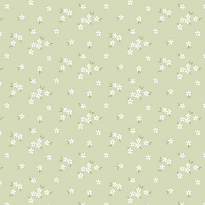 A delicate print of white daisies bunched on a gorgeous light sage cotton fabric.