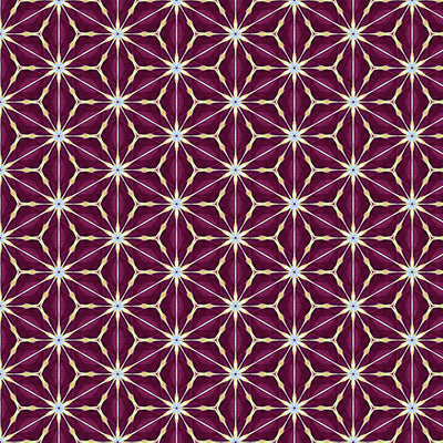 Amaryllis in claret from Kaleidoscope quilting fabric