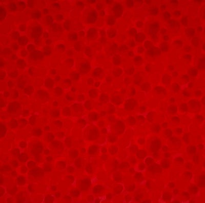 Multi-sized dots printed on a postbox red 100% cotton.