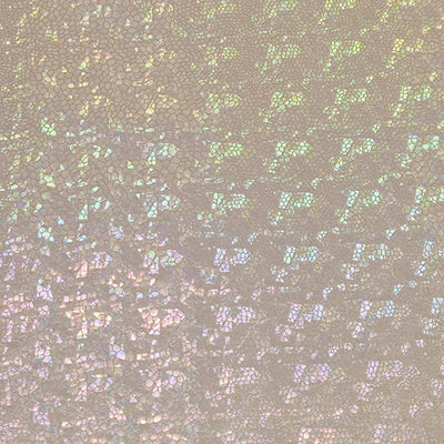 Iridescent glitter texture on a slver lame fabric