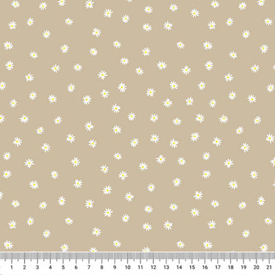 Ditsy white daisies printed on a dark neutral premium quilting cotton with a cm ruler