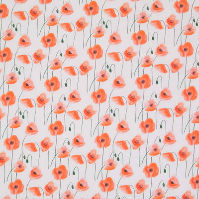 A beautiful watercolour poppy on a white background