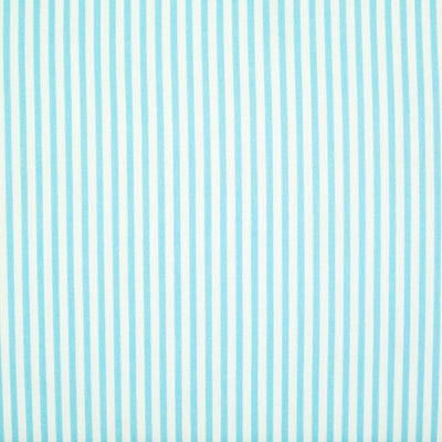 Candy Stripe Polycotton - Sky Blue and White