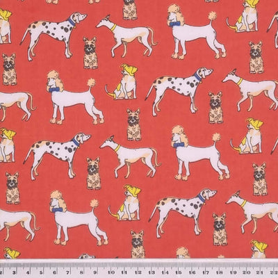 Poodles, dalmatians and terriers appear on this pet lovers polycotton fabric print on red with a cm ruler