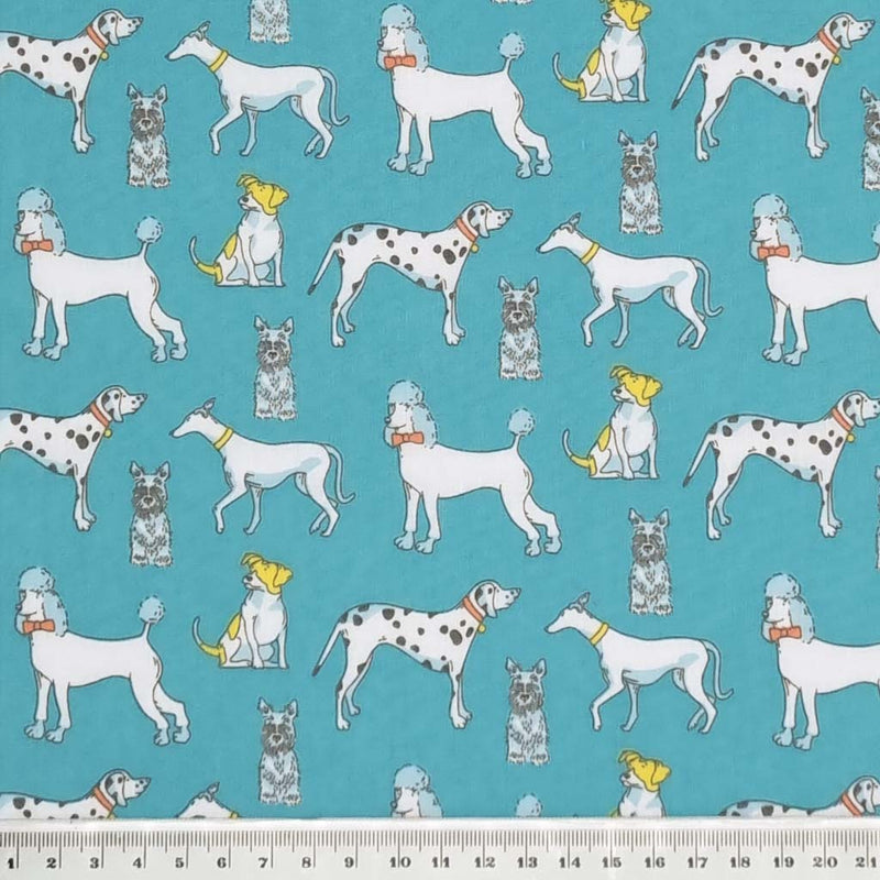Poodles, dalmatians and terriers appear on this pet lovers polycotton fabric print on turquoise with a cm ruler